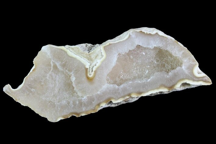 Agatized Fossil Coral Geode - Florida #97919